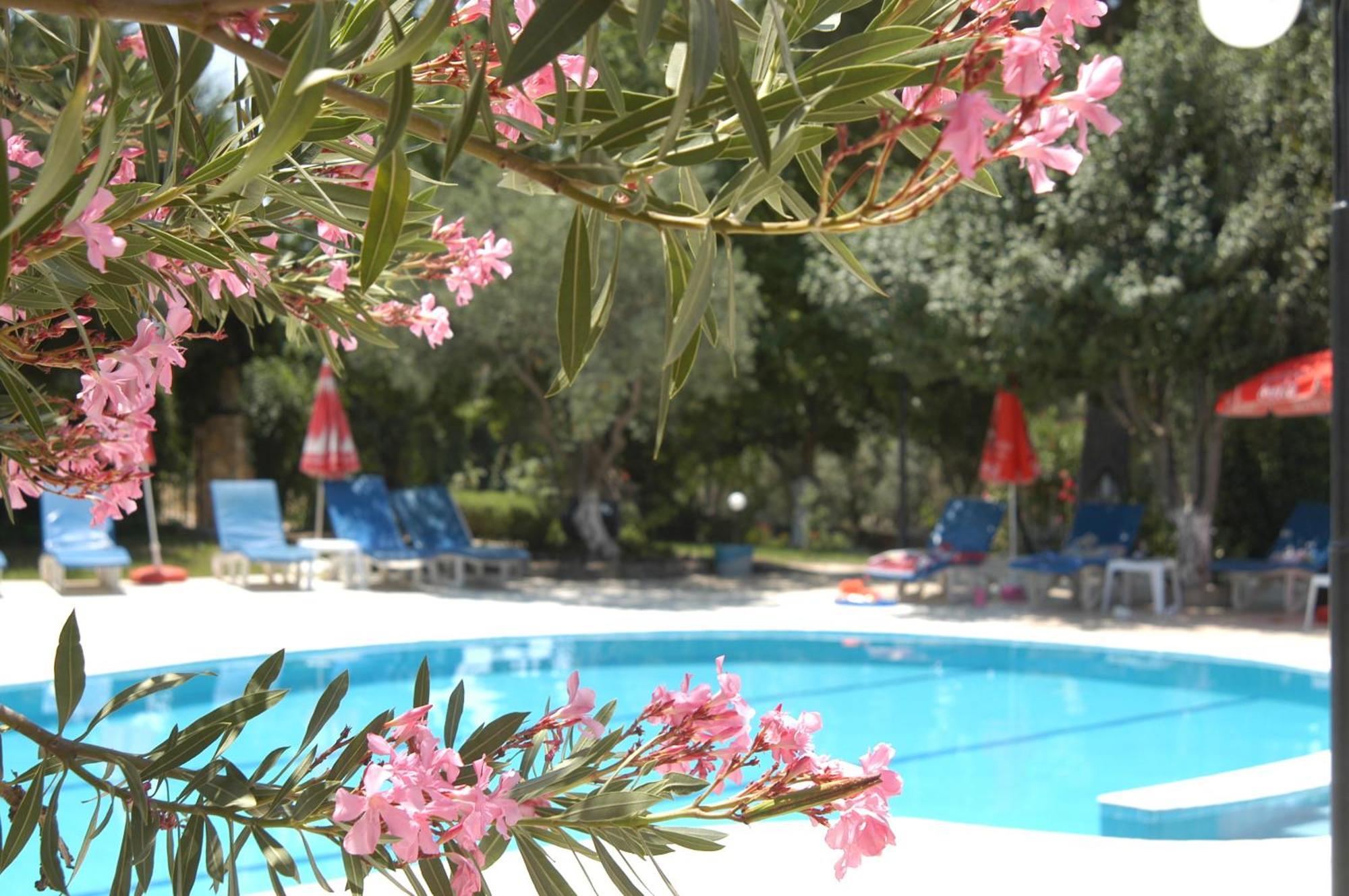 אולודניץ Gokcen Apartments מראה חיצוני תמונה